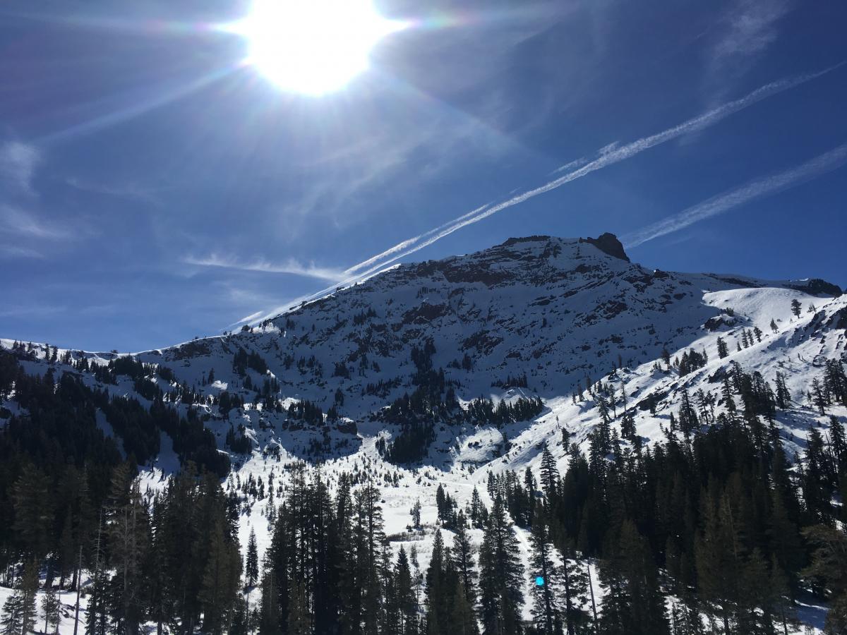 2018-02-08 12.57.31-1